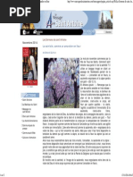 La Sainteté, Comme Un Amandier en Fleur