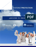 8. WP PCIP Que Es p2p