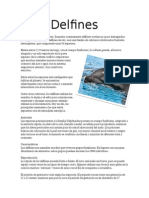 Delfines.docx