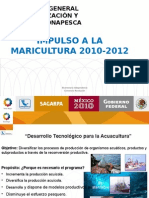 Impulso A La MARICULTURA 2010-2012: Dirección General de Organización Y Fomento Conapesca