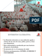 enteritis ulcerativa XD