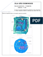 células - introdução.pdf