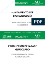 Produccion de Jarabes Glucosados PDF