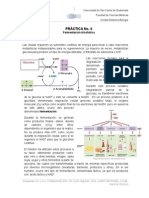 Practica Fermentacion