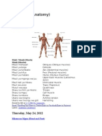 Anatomia (Anatomy) : Thursday, May 24, 2012