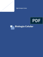 Egle Campos Costa - Biologia Celular