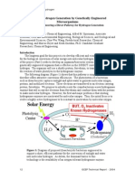 BioHydrogen Generation by Genetically Engineered Microorganism