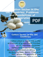 Cotton_Paper.ppt