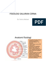 Fisiologi Saluran Cerna