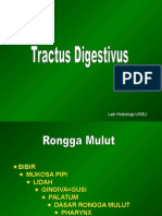 KULIAH 2 HistoTractus Digestivusppt