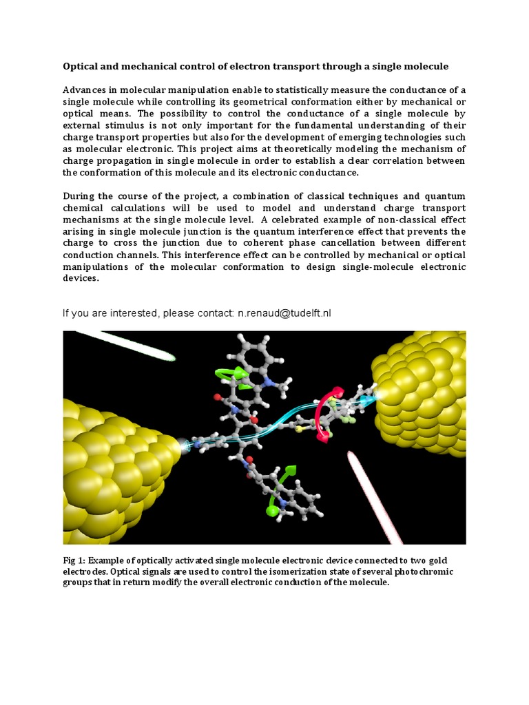 Transport Single Molecule | PDF