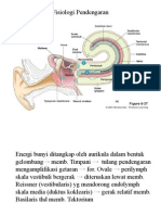 Fisiologi Pendengaran.pptx