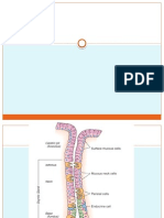 Peptic Ulcer Disease