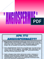 5. ANGIOSPERMAE