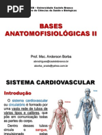 Bases Anatomofisiológicas II