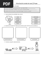 Ficha Final Estudo Do Meio