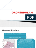 Oropéndola 4