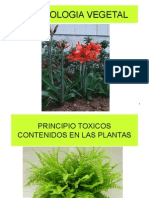 Principales toxinas vegetales y su efecto en animales