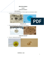 Atlas de Parasitologia Clinica