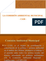 La Comisión Ambiental Municipal - Cam