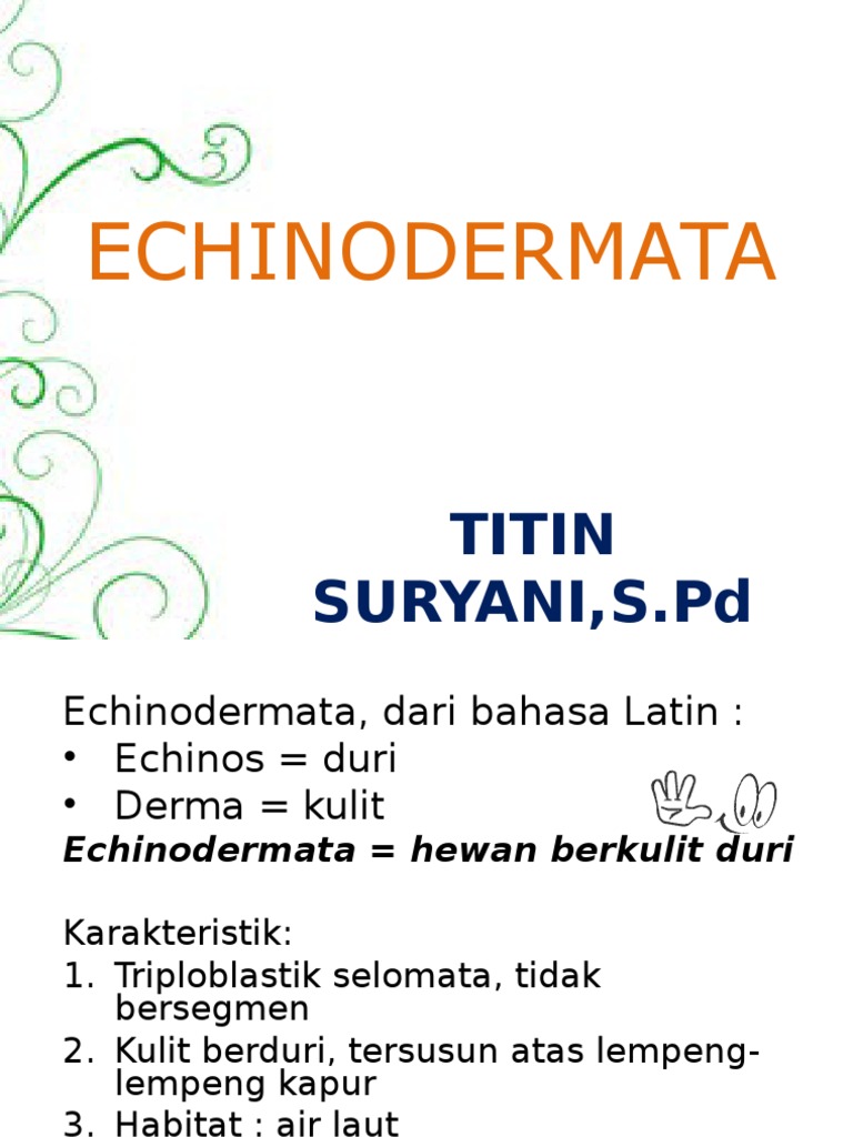 Echinodermata