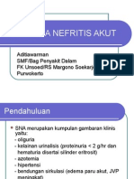 Sindroma Nefritis Akut