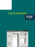 Dr. Becker Fluid & Electrolyte