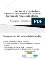 Propagacion Del Potencial de Accion