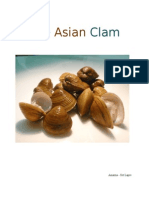 Amarna Setlapre Asianclam 3rdperiod