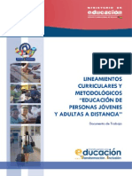 Lineamientos Curriculares y Metodolgicos de Personas Jovenes y Adultas A Distancia