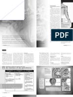 Céphalées Cervico-dorsalgies Cervico-brachialgies.pdf