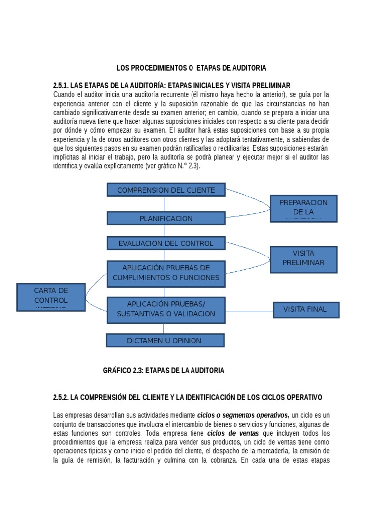 Etapas Clave en el Proceso de Auditoría | PDF | Auditoría financiera ...