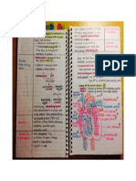 Blood&Heart Notes