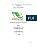 Reporte de Practica Mantenimiento Al Navegador de Forma Remota PDF
