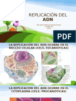 8 - Duplicación Del Adn 2014