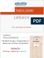 Aula 7 - Metabolismo Dos Lipídeos PDF