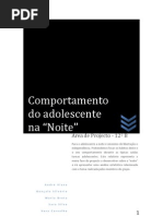 Comportamento do adolescente na noite  - Relatório Estatístico