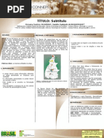 Modelo de Banner Connepi_2012