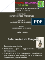 Enfermedad de Chagas 15-11-2014