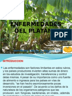 Enfermedades Del Platano