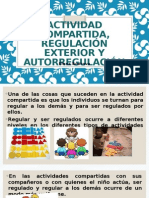 Actividad Compartida, Regulación Exterior y Autorregulación