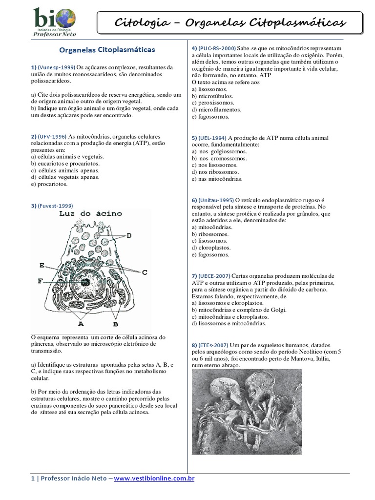 Questões - Biologia (Citologia - Organelas Citoplasmáticas) - Formatado ...