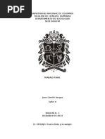 Previo Trabajo Final tatuajes
