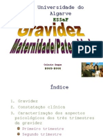 PGM 1_ Perspectiva histórica da Gravidez