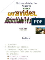 PGM 1 - Perspectiva Histórica Da Gravidez