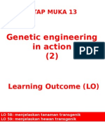 TM 13 APLIKASI MANIPULASI GEN 2 (Biologi Molekuler 2014)