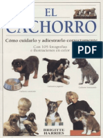 Animales - El Cachorro PDF