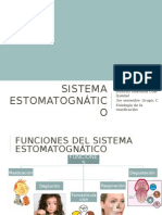 Sistema Estomatognático