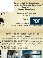 Fuentes de Contaminación Proceso Curtido IQ