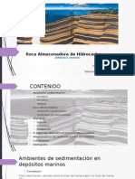 Roca Almacenadora - Ambiente Marino